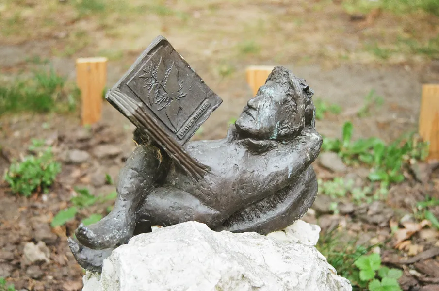 Szkoła ZSZ nr 5